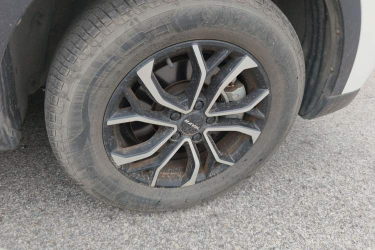 Used Haval H6 2023 National Trend Edition 1.5T Automatic Urban Version Exterior 7