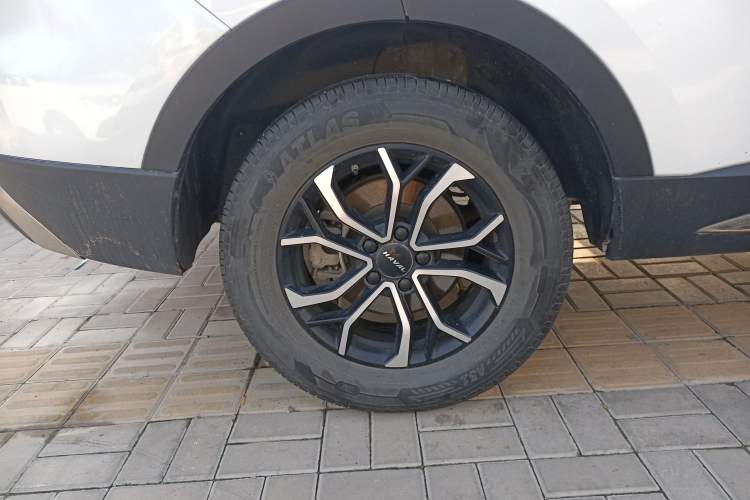 Used Haval H6 2023 National Trend Edition 1.5T Automatic Urban Version Exterior 8