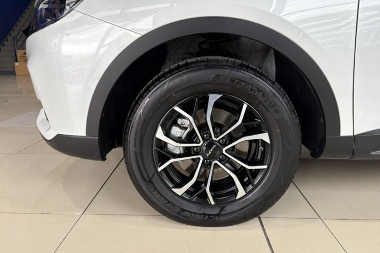 Used Haval H6 2023 National Trend Edition 1.5T Automatic Urban Version Exterior 8