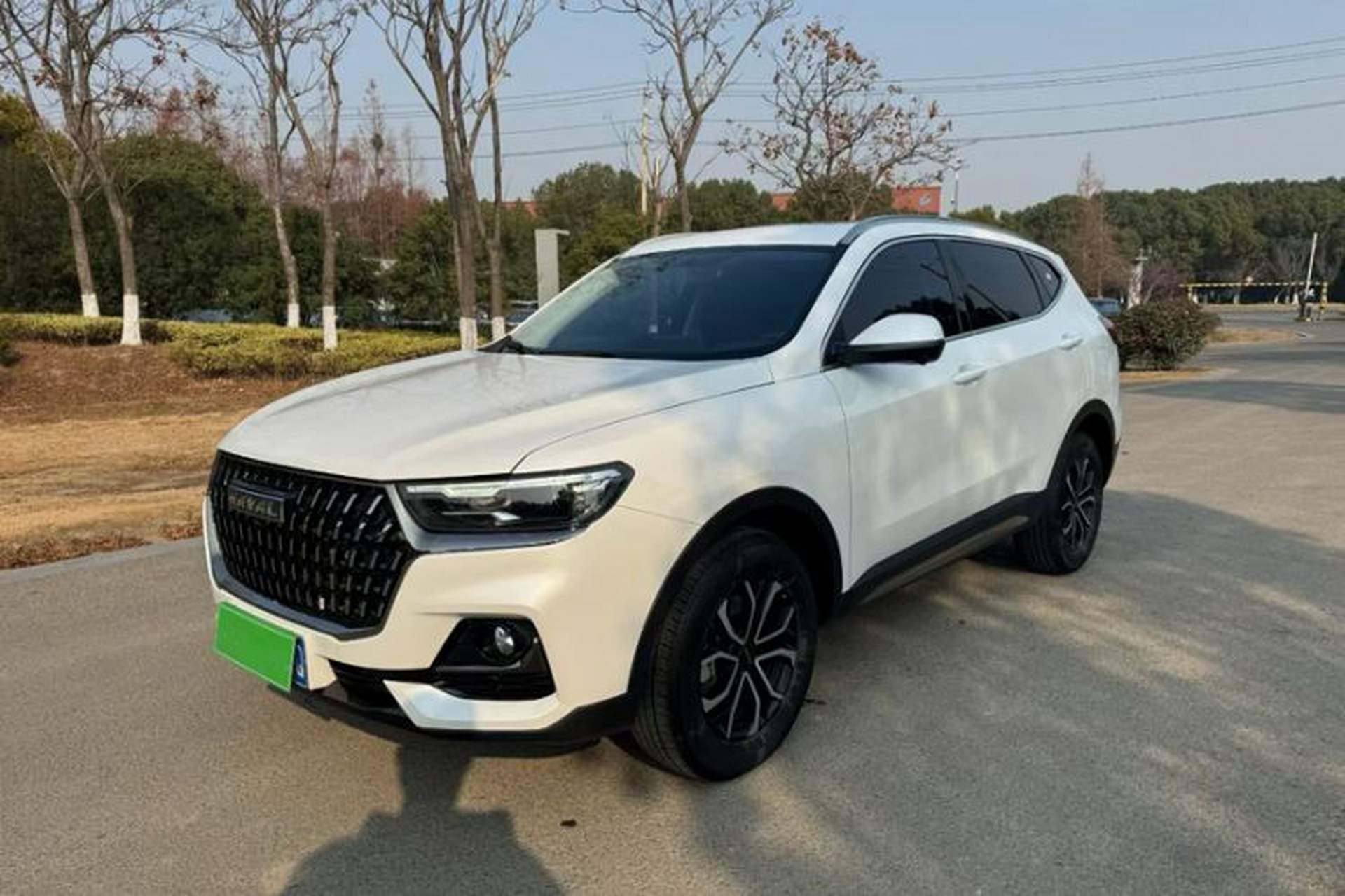 Used Haval H6 2023 National Trend Edition 1.5T Automatic Urban Version Front Left 45 Deg