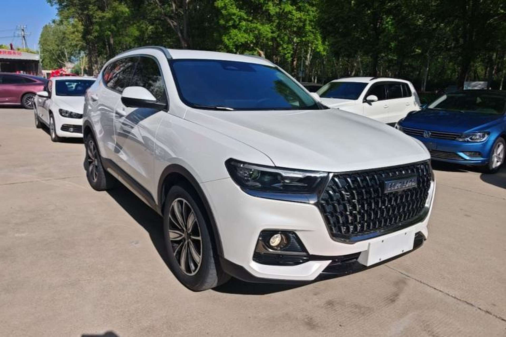 Used Haval H6 2023 National Trend Edition 1.5T Automatic Champion Version Front Right 45 Deg