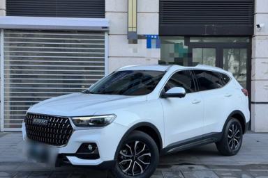Used Haval H6 2023 National Trend Edition 1.5T Automatic Urban Version