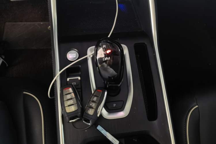 Used Haval H6 2023 National Trend Edition 1.5T Automatic Champion Version Gear Lever