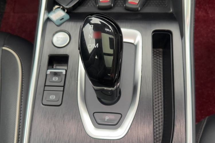 Used Haval H6 2023 National Trend Edition 1.5T Automatic Champion Version Gear Lever
