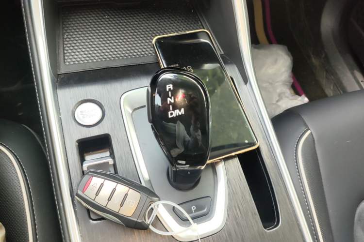Used Haval H6 2023 National Trend Edition 1.5T Automatic Urban Version Gear Lever