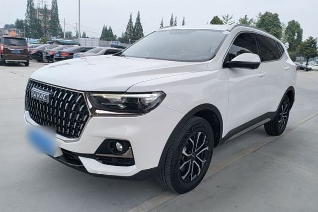 Used Haval H6 2023 National Trend Edition 1.5T Automatic Urban Version