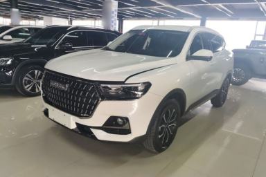 Used Haval H6 2023 National Trend Edition 1.5T Automatic Urban Version