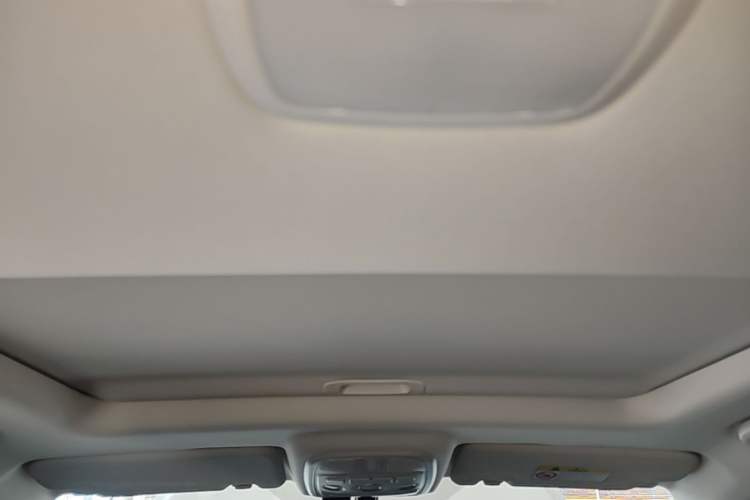 Used Haval H6 2023 National Trend Edition 1.5T Automatic Urban Version Headliner