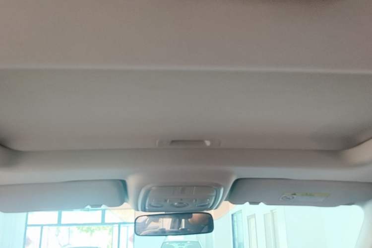 Used Haval H6 2023 National Trend Edition 1.5T Automatic Urban Version Headliner