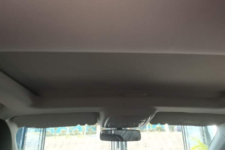 Used Haval H6 2023 National Trend Edition 1.5T Automatic Urban Version Headliner