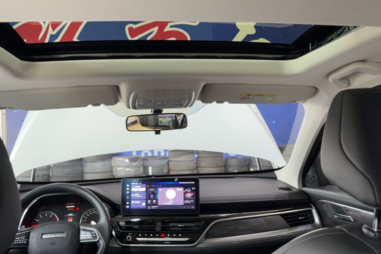 Used Haval H6 2023 National Trend Edition 1.5T Automatic Urban Version Headliner