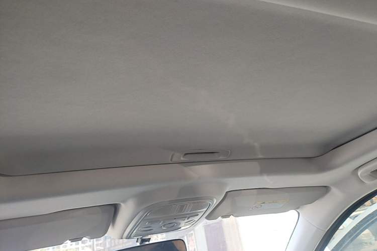 Used Haval H6 2023 National Trend Edition 1.5T Automatic Urban Version Headliner