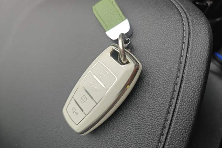 Used Haval H6 2023 National Trend Edition 1.5T Automatic Urban Version Interior 1