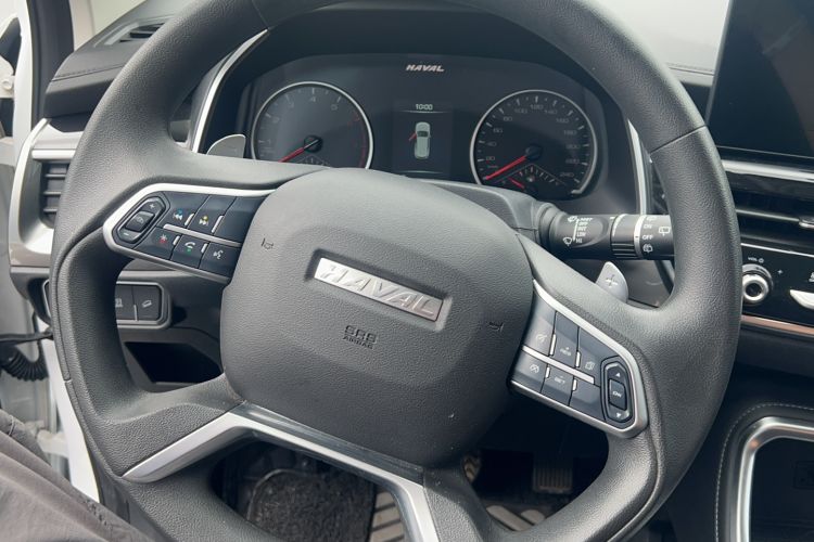 Used Haval H6 2023 National Trend Edition 1.5T Automatic Urban Version Interior 6
