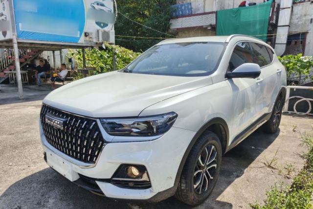 Used Haval H6 2023 National Trend Edition 1.5T Automatic Urban Version
