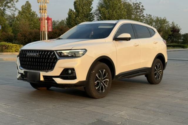 Used Haval H6 2023 National Trend Edition 1.5T Automatic Urban Version