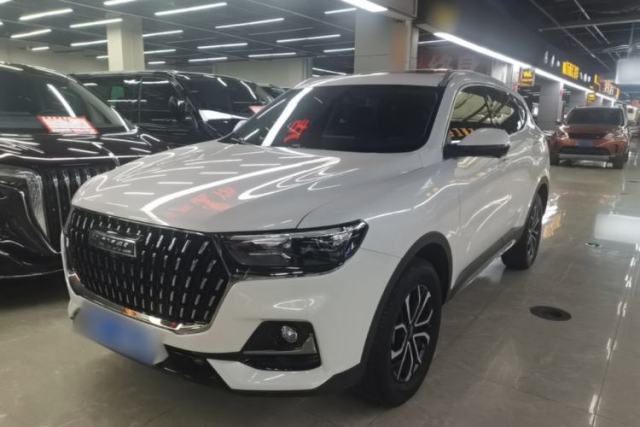 Used Haval H6 2023 National Trend Edition 1.5T Automatic Urban Version