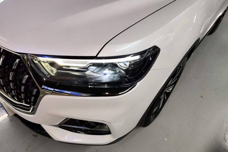 Used Haval H6 2023 National Trend Edition 1.5T Automatic Champion Version