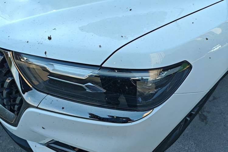 Used Haval H6 2023 National Trend Edition 1.5T Automatic Urban Version Left Front Headlight
