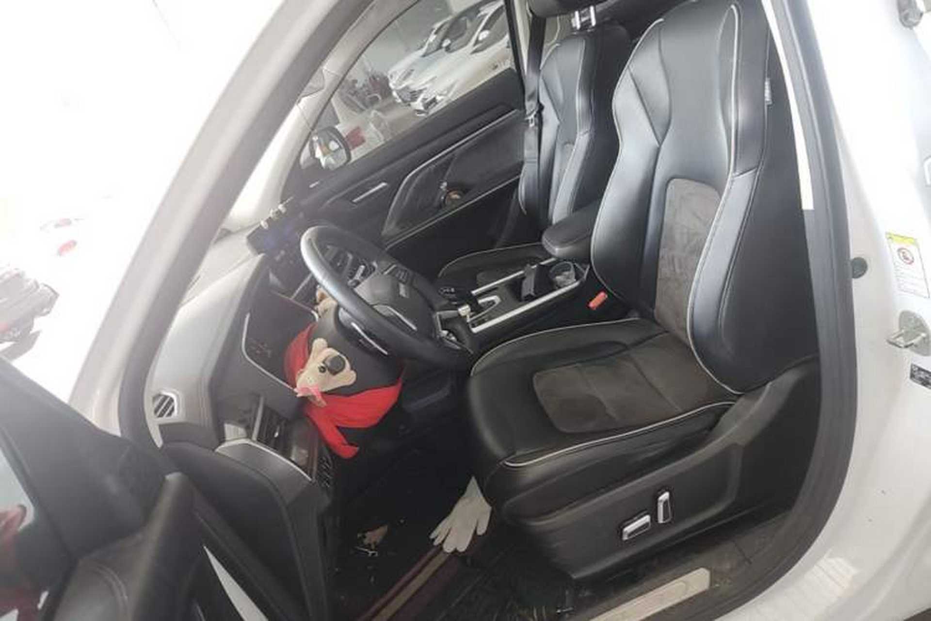 Used Haval H6 2023 National Trend Edition 1.5T Automatic Champion Version Left Front Seat