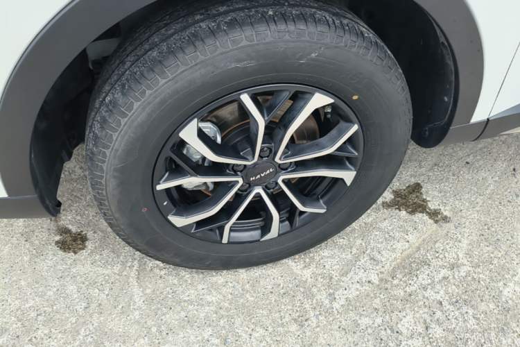 Used Haval H6 2023 National Trend Edition 1.5T Automatic Urban Version Left Front Wheel Hub