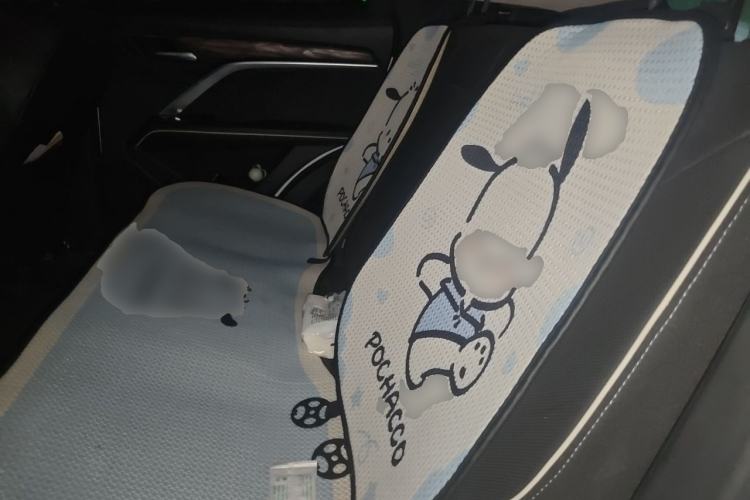 Used Haval H6 2023 National Trend Edition 1.5T Automatic Urban Version Left Rear Seat