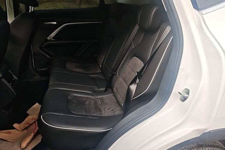 Used Haval H6 2023 National Trend Edition 1.5T Automatic Urban Version Left Rear Seat