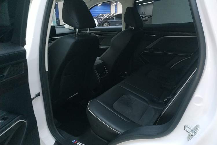 Used Haval H6 2023 National Trend Edition 1.5T Automatic Urban Version Left Rear Seat