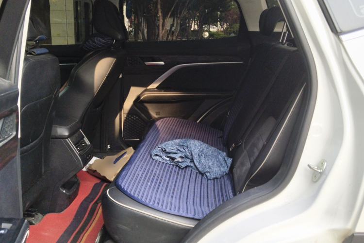 Used Haval H6 2023 National Trend Edition 1.5T Automatic Urban Version Left Rear Seat