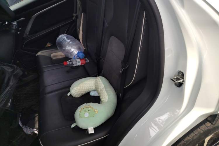 Used Haval H6 2023 National Trend Edition 1.5T Automatic Urban Version Left Rear Seat
