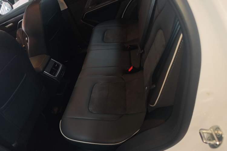 Used Haval H6 2023 National Trend Edition 1.5T Automatic Urban Version Left Rear Seat