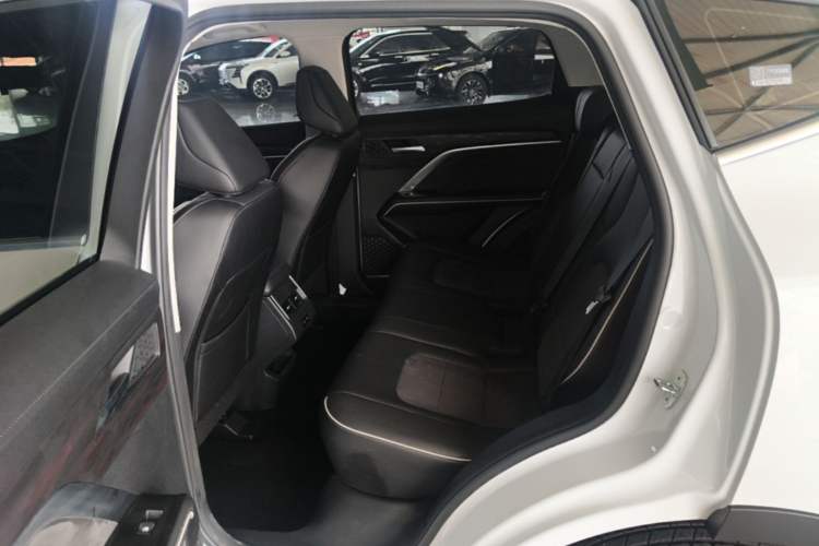 Used Haval H6 2023 National Trend Edition 1.5T Automatic Urban Version Left Rear Seat
