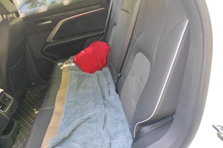 Used Haval H6 2023 National Trend Edition 1.5T Automatic Champion Version Left Rear Seat