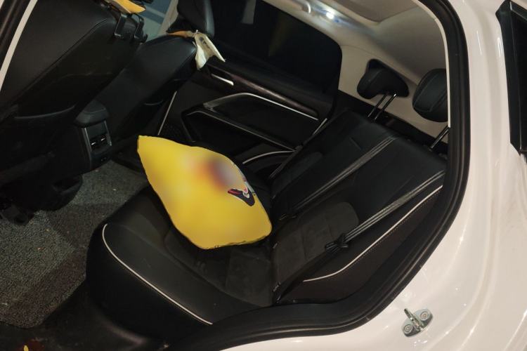 Used Haval H6 2023 National Trend Edition 1.5T Automatic Champion Version Left Rear Seat