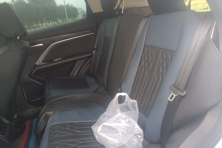 Used Haval H6 2023 National Trend Edition 1.5T Automatic Champion Version Left Rear Seat