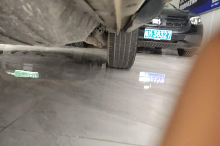 Used Haval H6 2023 National Trend Edition 1.5T Automatic Urban Version Left Side Sill
