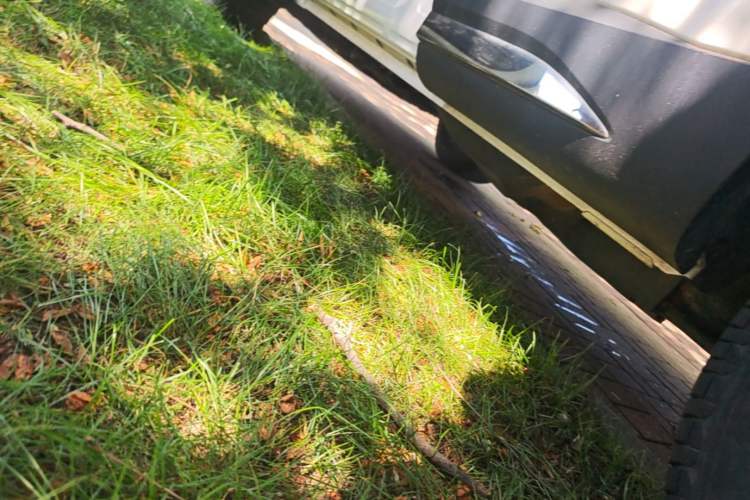Used Haval H6 2023 National Trend Edition 1.5T Automatic Urban Version Left Side Sill