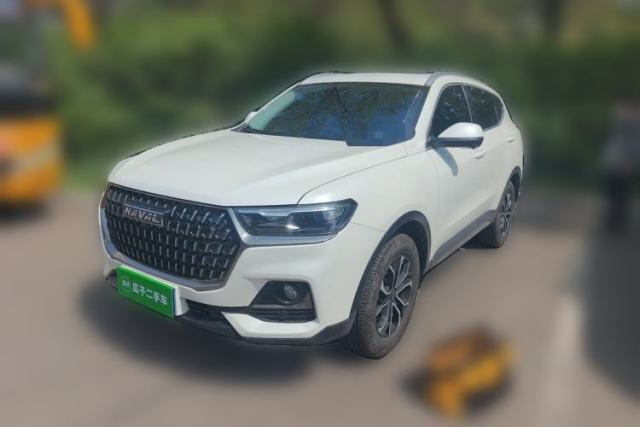 Used Haval H6 2023 National Trend Edition 1.5T Automatic Urban Version