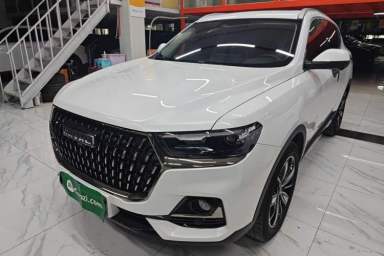 Used Haval H6 2023 National Trend Edition 1.5T Automatic Champion Version