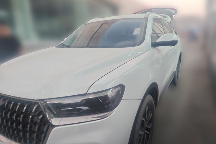 Haval H6 2023 National Trend Edition 1.5T Automatic Urban Version