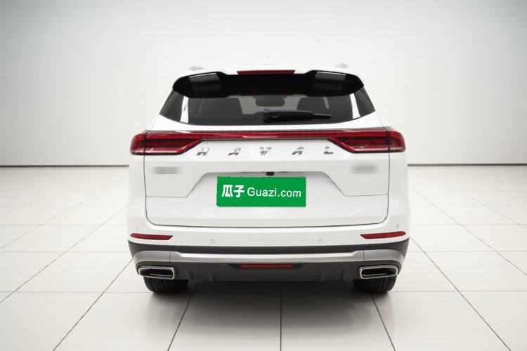 Used Haval H6 2023 National Trend Edition 1.5T Automatic Champion Version Rear