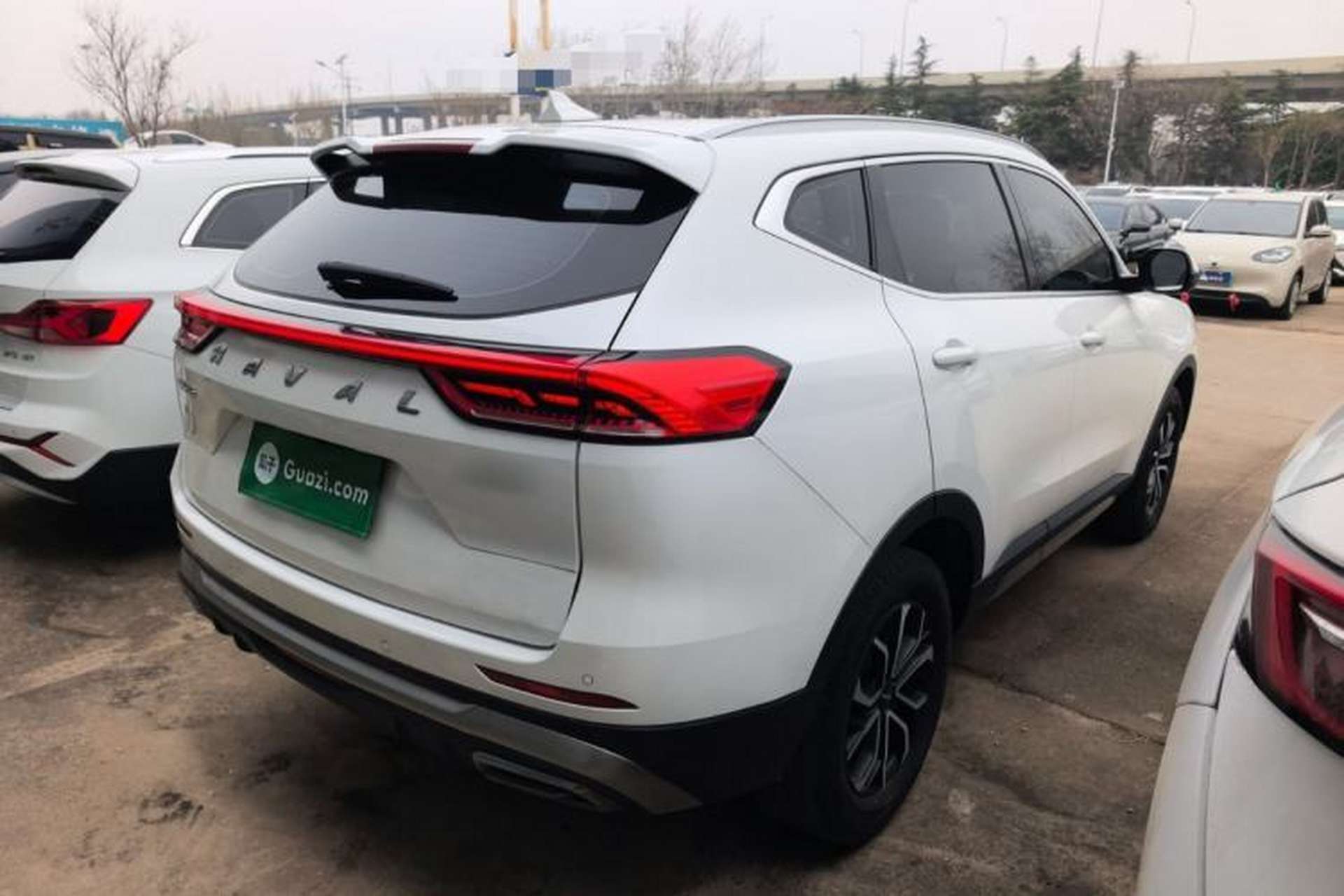 Used Haval H6 2023 National Trend Edition 1.5T Automatic Urban Version Rear Right 45 Deg