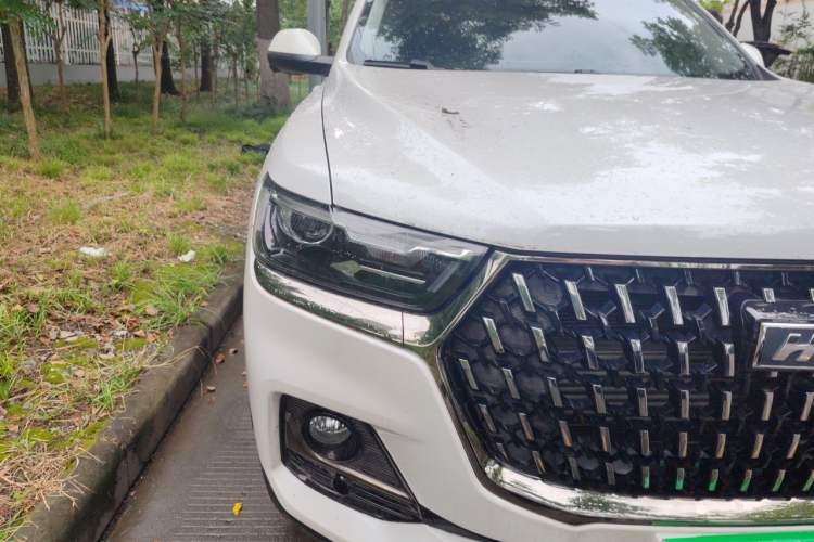 Used Haval H6 2023 National Trend Edition 1.5T Automatic Urban Version Right Front Headlight