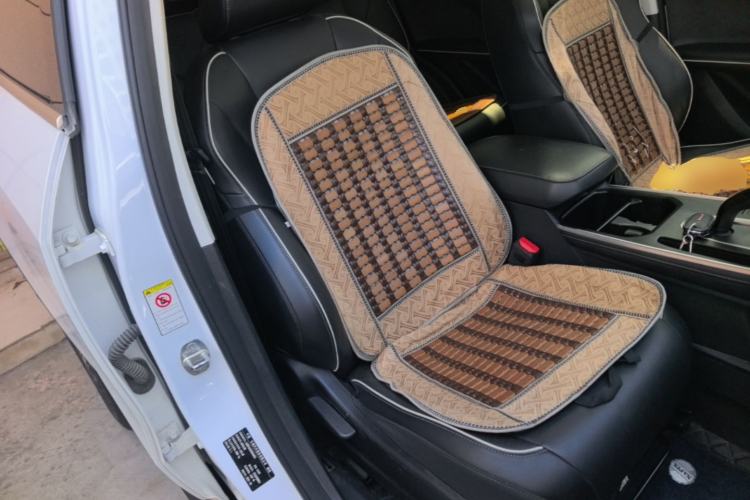 Used Haval H6 2023 National Trend Edition 1.5T Automatic Champion Version Right Front Seat