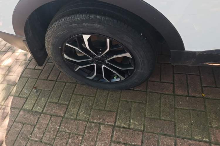 Used Haval H6 2023 National Trend Edition 1.5T Automatic Urban Version Right Rear Wheel Hub