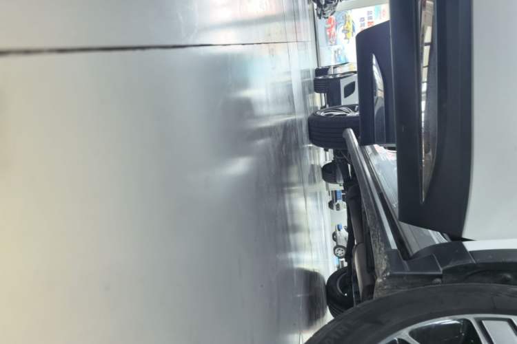 Used Haval H6 2023 National Trend Edition 1.5T Automatic Champion Version Right Side Sill