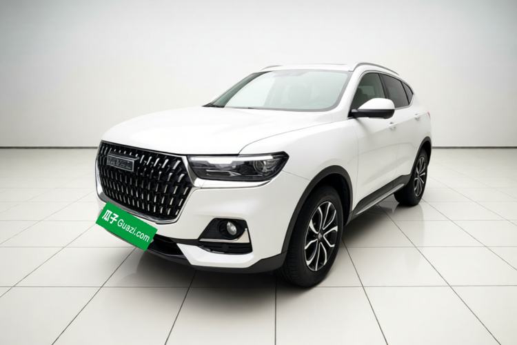 Haval H6 2023 National Trend Edition 1.5T Automatic Urban Version