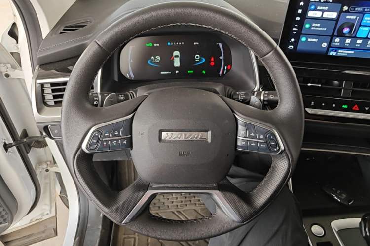 Used Haval H6 2023 National Trend Edition 1.5T Automatic Champion Version Steering Wheel