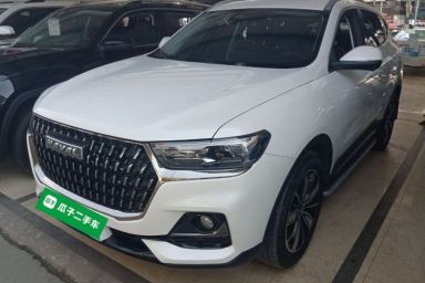 Used Haval H6 2023 National Trend Edition 1.5T Automatic Champion Version