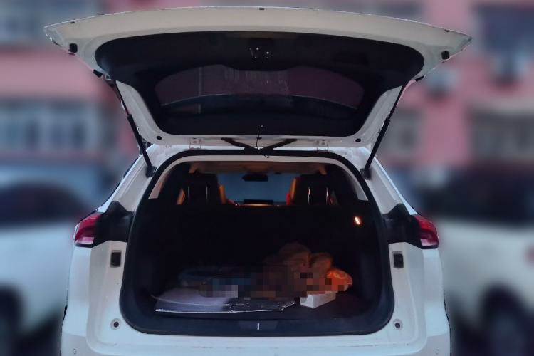 Used Haval H6 2023 National Trend Edition 1.5T Automatic Urban Version Trunk